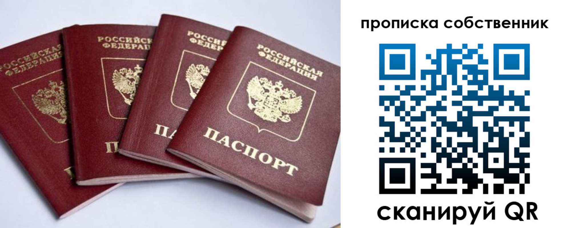 прописка для школы в Камешково