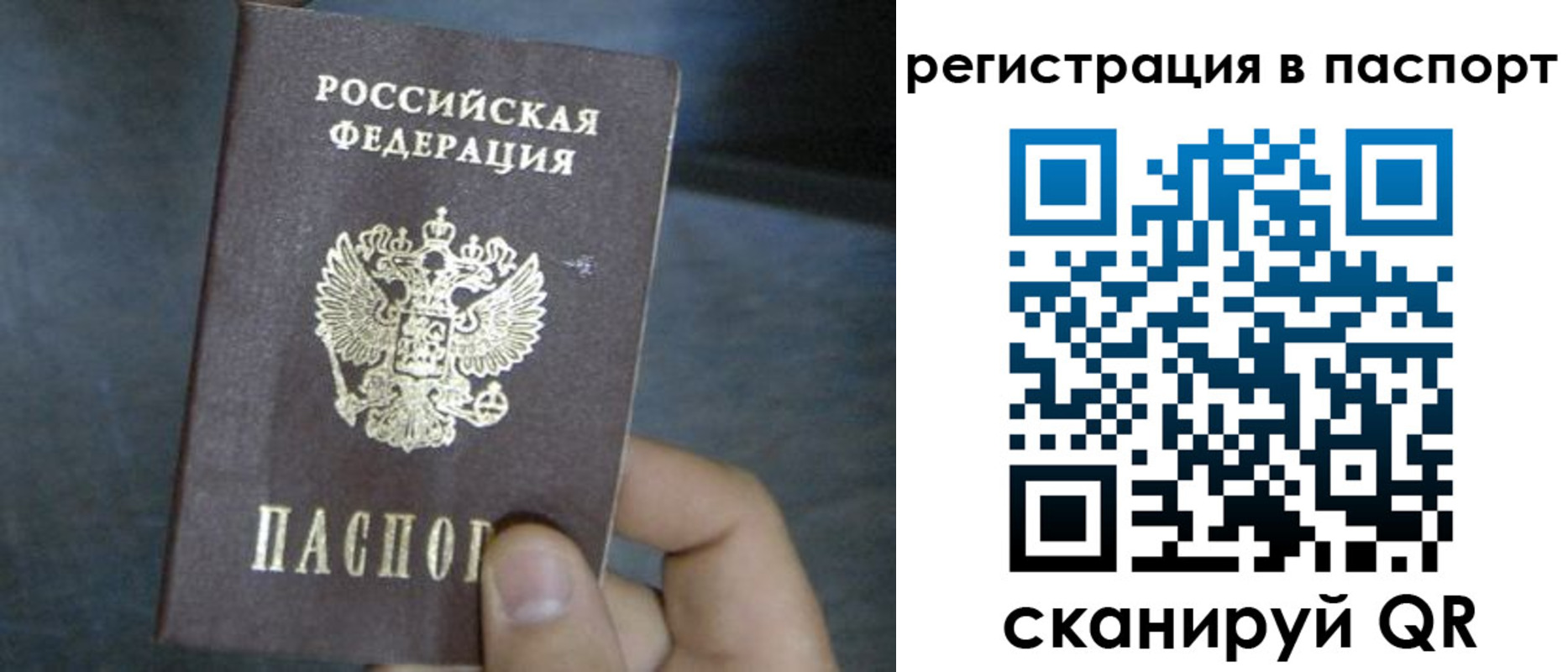 прописка 2025 в Камешково